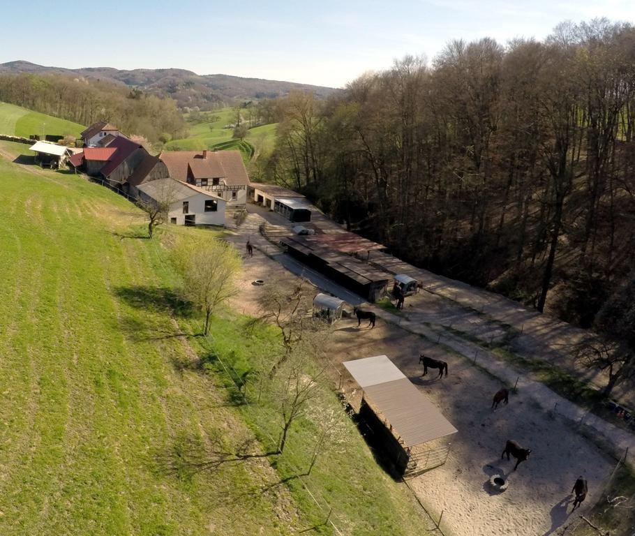 Villa Pferdehof und Wanderreitstation Dörsam Mörlenbach Exterior foto