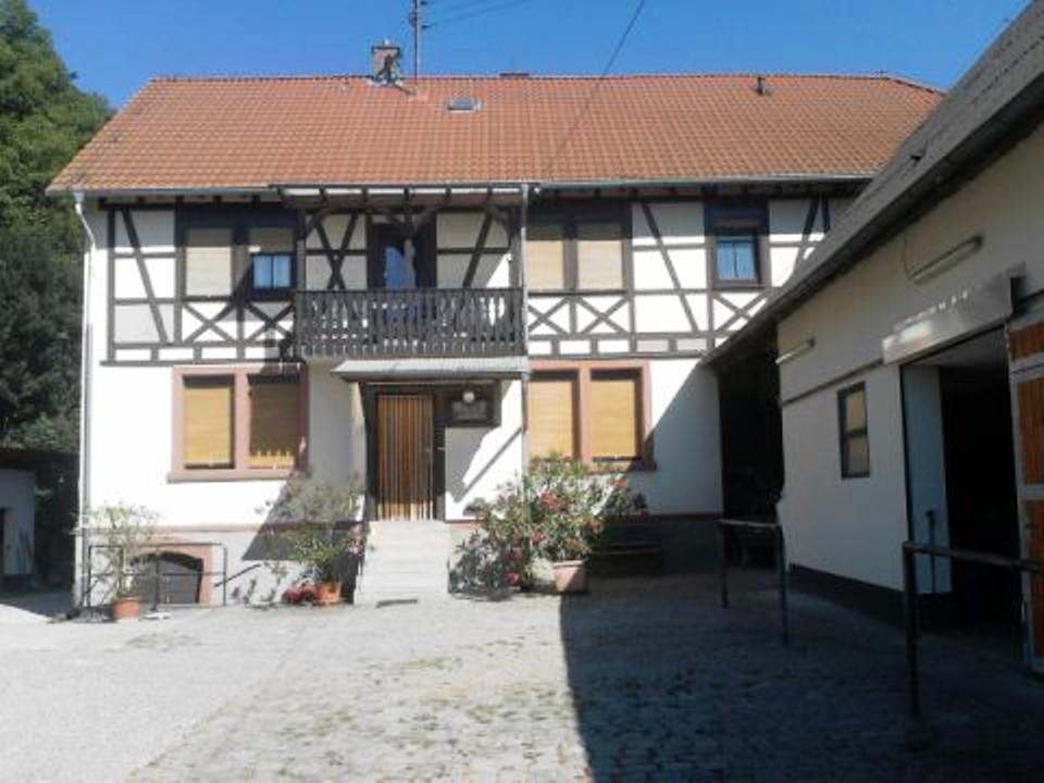 Villa Pferdehof und Wanderreitstation Dörsam Mörlenbach Exterior foto