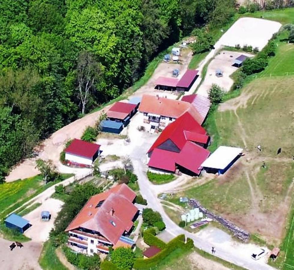 Villa Pferdehof und Wanderreitstation Dörsam Mörlenbach Exterior foto
